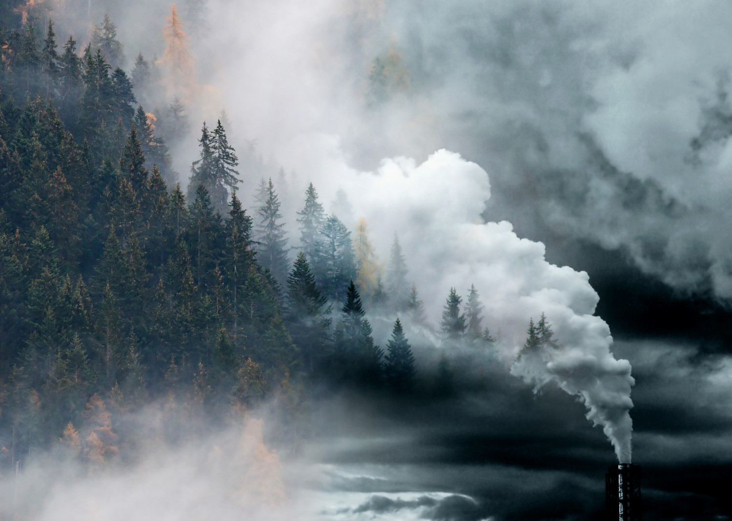 Chimenea tirando humo a un bosque